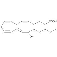 15(S)-HETE,花生四烯酸的代谢产物，54845-95-3，Moligand™, ≥98%, 100μg/mL in ethanol，阿拉丁