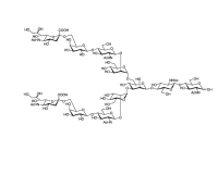 Neu5Acα(2-6) N-聚糖，1125602-44-9，≥95%(HPLC)，阿拉丁