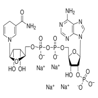 还原辅酶Ⅱ四钠盐 水合物,2646-71-1,≥97%(HPLC),阿拉丁