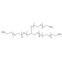 八臂 PEG 胺，MW 10000 Da，阿拉丁