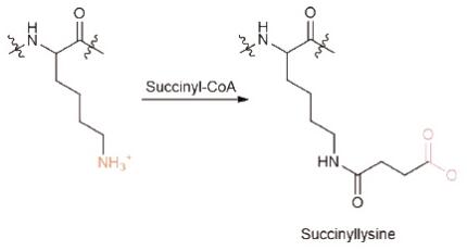 产品细节图片22