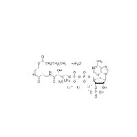 Octanoyl coenzyme A 锂盐 水合物，324518-20-9，≥95%，阿拉丁