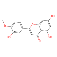 香叶木素，520-34-3，10mM in DMSO，阿拉丁