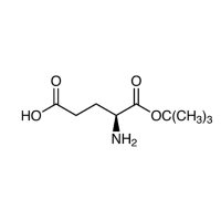 L-谷氨酸1-叔丁酯,45120-30-7,≥95%,阿拉丁