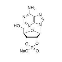 腺苷2′:3′-循环磷酸钠盐，37063-35-7，≥97%，阿拉丁