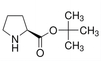 L-脯氨酸叔丁基酯,2812-46-6,≥98%,阿拉丁