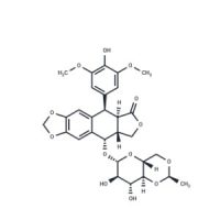 依托泊甘，33419-42-0，Moligand™, ≥98%，阿拉丁