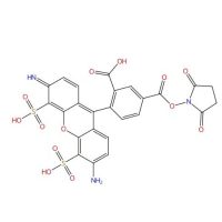 Aladdin® 488 NHS 酯（琥珀酰亚胺酯），1374019-99-4，Ex:499nm, Em:520nm, ≥90%(HPLC)，阿拉丁