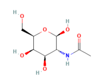 N-乙酰-D-半乳糖胺，1811-31-0，≥98%，阿拉丁