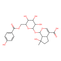 6'-(对羟基苯甲酰基)mussaenosi二c acid，87667-61-6，≥95%(LC/MS-ELSD)，阿拉丁