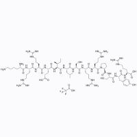 CREBtide TFA盐，149155-45-3，≥98%，阿拉丁