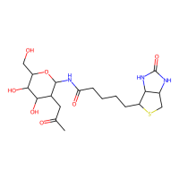 N-GlcNAc-生物素，1272755-69-7，阿拉丁