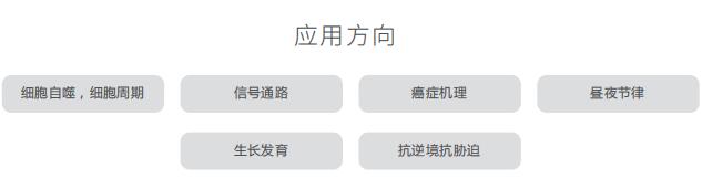 产品细节图片14