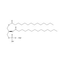 1,2-二肉豆蔻酰基-sn-甘油-3-磷酸酯(钠盐)，80724-31-8，≥98%，阿拉丁
