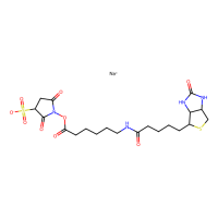 6-(生物素酰胺)己酸磺酸基琥珀酰亚胺酯钠盐,127062-22-0,≥95%,阿拉丁