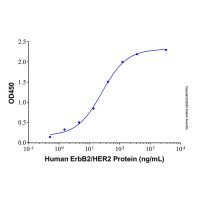 Recombinant Human ErbB2/HER2 Protein,阿拉丁