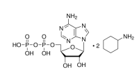腺苷-5′-二磷酸 环己铵盐，58-64-0，Moligand™, ≥95%，阿拉丁