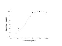 Recombinant Human FGFR2 Protein，阿拉丁