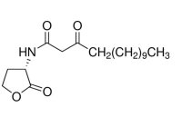 N-(3-氧十四烷酰基)-L-高丝氨酸内酯，177158-19-9，≥98%，阿拉丁