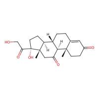 可的松，53-06-5，Moligand™, 10mM in DMSO，阿拉丁