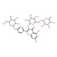 Kaempferol 3-rutinoside 4′-glucoside，89439-58-7，≥95%(LC/MS-ELSD)，阿拉丁