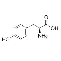 L-酪氨酸;UltraBio™, Moligand™, ≥99%;60-18-4;阿拉丁