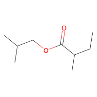 2-甲基丁酸异丁酯，2445-67-2，≥98%，阿拉丁