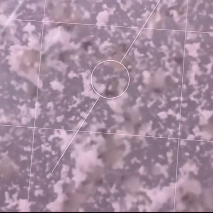 Der f 粉尘螨过敏原提取液