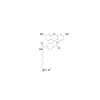 FAM胺，6-异构体，2183440-42-6，≥95%，阿拉丁