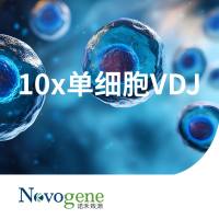 10X 单细胞 VDJ