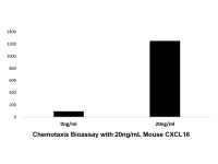 Recombinant Mouse CXCL16 Protein，阿拉丁