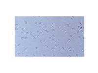 Recombinant Human EpCAM Protein,ActiBioPure™, Bioactive, Animal Free, Carrier Free, Azide Free, High performance, ≥95%(SDS-PAGE),阿拉丁