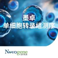 墨卓（MobiDrop）单细胞转录组测序