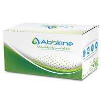 CXCL1 重组人趋化因子 人源重组蛋白 细胞因子