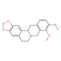 四氢小檗碱,522-97-4,10mM in DMSO,阿拉丁