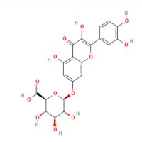 槲皮素7-O-β-D-葡糖醛酸，38934-20-2，Moligand™, ≥98%，阿拉丁
