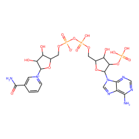 β-烟酰胺腺嘌呤二核苷酸磷酸,53-59-8,Moligand™, ≥90%,阿拉丁