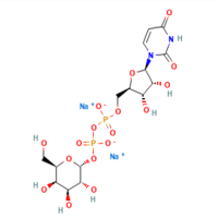 UDP-半乳糖 二钠盐,137868-52-1,≥95%,阿拉丁