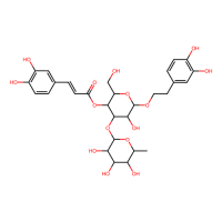 毛蕊花糖苷,61276-17-3,Moligand™, 10mM in DMSO,阿拉丁