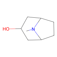 α-托品醇；10mM in DMSO；120-29-6；阿拉丁