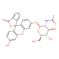 荧光素单β-DN-乙酰氨基葡萄糖,148806-95-5,≥98%,阿拉丁
