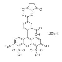 AF 488 NHS Ester,1374019-99-4,阿拉丁