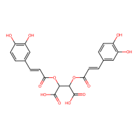 菊苣酸，70831-56-0，10mM in DMSO，阿拉丁