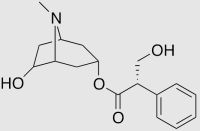 山莨菪碱;≥97%;55869-99-3;阿拉丁