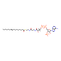 棕榈油酰辅酶A锂盐，18198-76-0，≥90%，阿拉丁