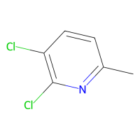 2,3-二氯-6-甲基吡啶，54957-86-7，≥98%，阿拉丁