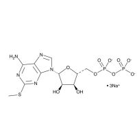 2-甲基硫代二磷酸腺苷（钠盐），475193-31-8，≥98%, 10 mM solution in water，阿拉丁