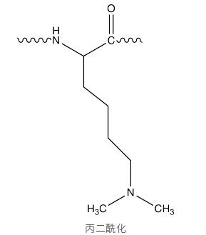 产品细节图片11