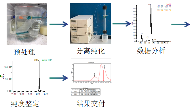 寡糖分离纯化服务-百欧泰生物