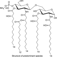 脂质 A 解毒（明尼苏达沙门氏菌 R595），497156-01-1，阿拉丁